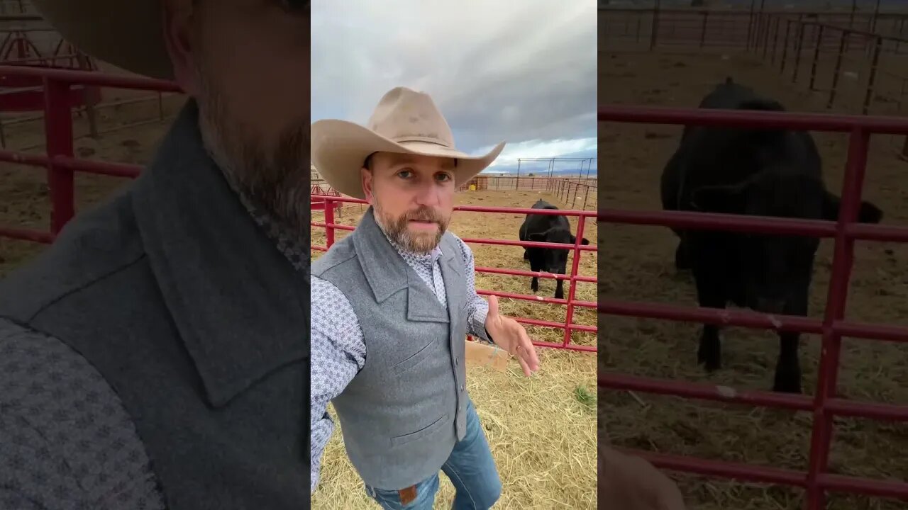 How Ranchers Make Money with Hunting
