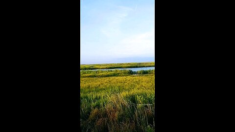 What a day at the beautiful bay