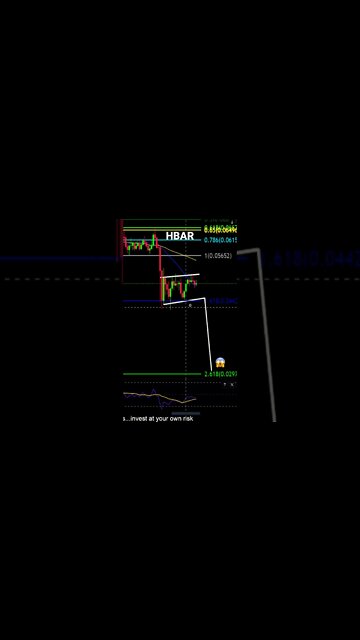 HBAR going to .03!? 😱🐻🚨