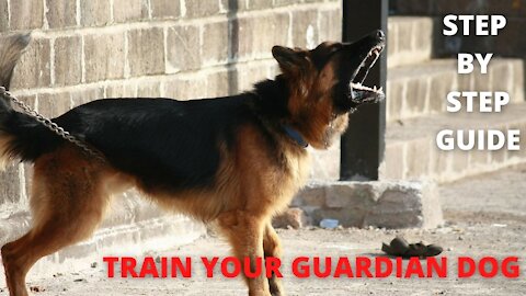 Step by Step Guide: Train a Guardian Dog