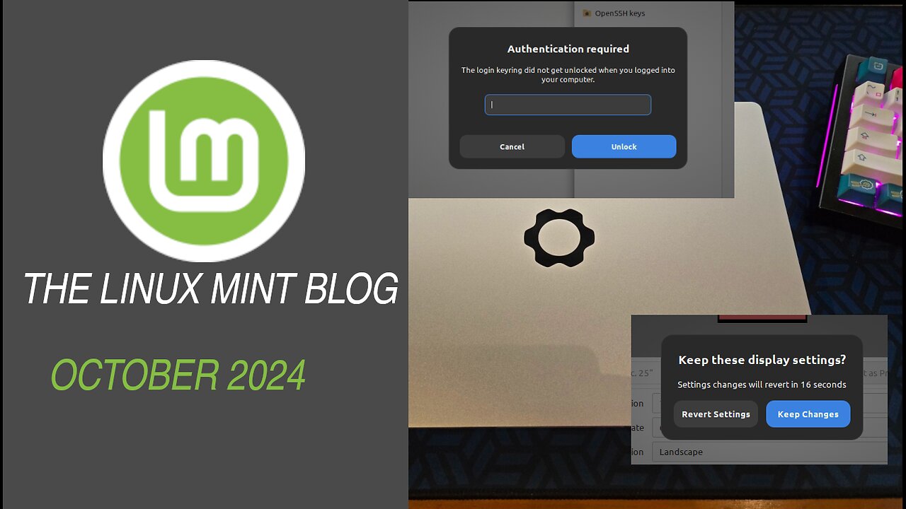 Mint Blog Update for October 2024