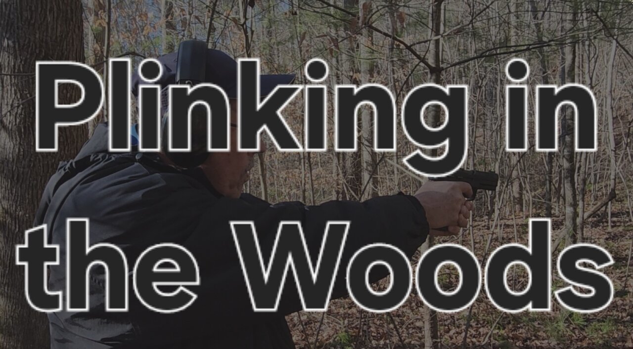 Plinking in the woods