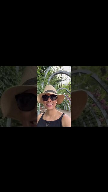 Queensland e suas belezas naturais 😍 #brasileirosnaaustralia #australia #queensland #roadtrip