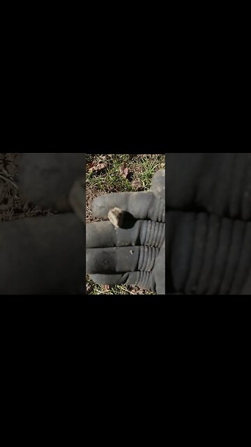 Civilwar percussion cap #trending #silver #metaldetecting #civilwar #coins #buttons #relics #battle