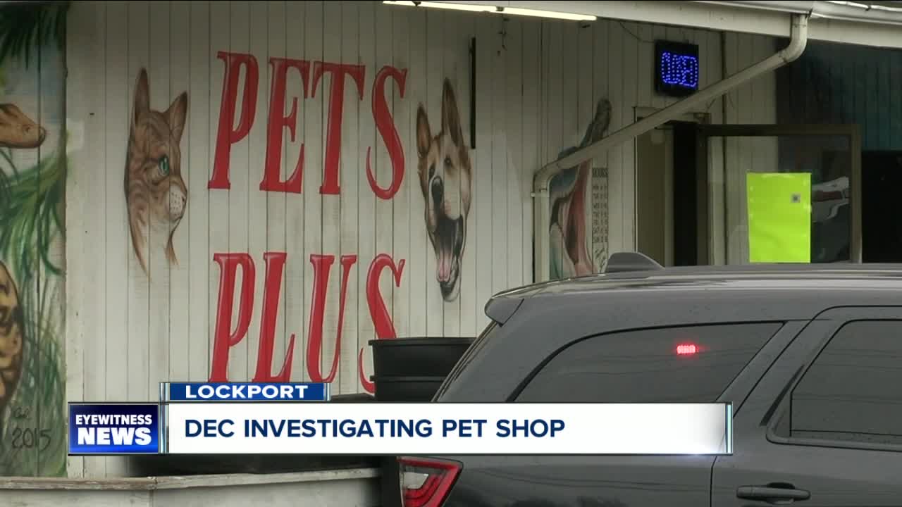 DEC raids Pets Plus pet store in Lockport