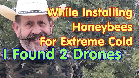 While shaking In HoneyBees for Extreme Cold Spring Weather, I found 2 Drones🐝