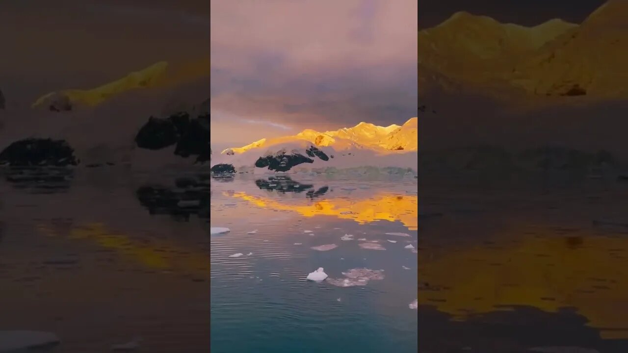 The incredible natures of Antarctica #Share💎