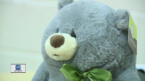 Teddy Bear Toss to help local children this holiday season