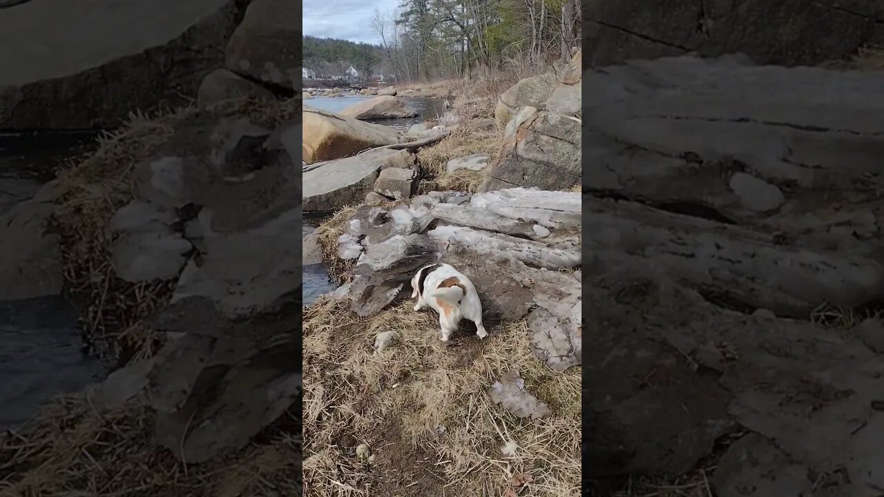 Checking Out The Ice... ❤️