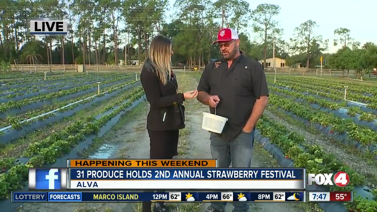 31 Produce puts on 2nd annual Strawberry Festival in Alva on Saturday and Sunday