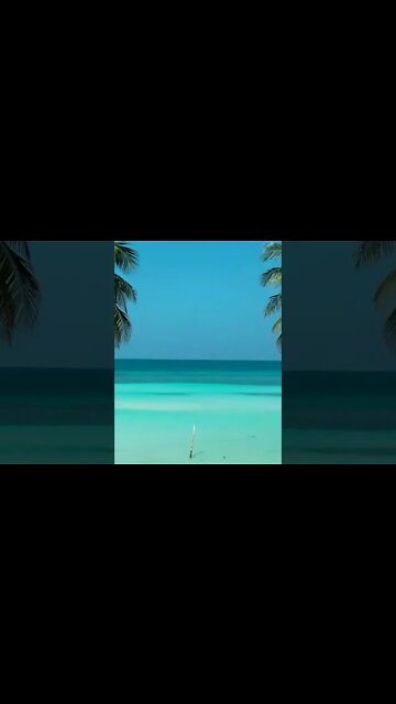 People that bought BTC in 2015 be like... #cryptotrading