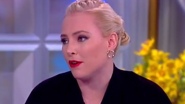 Meghan McCain trashes Hillary after India remarks: 'The Clintons are a virus'