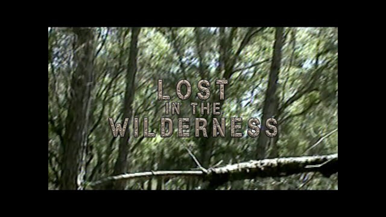 20190311 LOST IN THE WILDERNESS