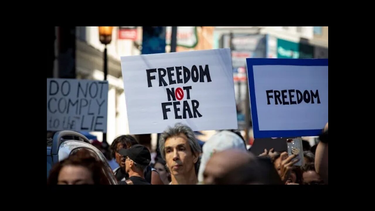 Police Use Pepper Spray and Fists against Peaceful Freedom Protestors in Germany