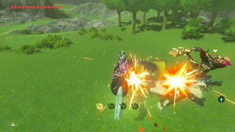 Breath of the Wild Master Mode 105