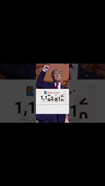 Elon Musk let the worlds best stock market pumper back on twitter 😂