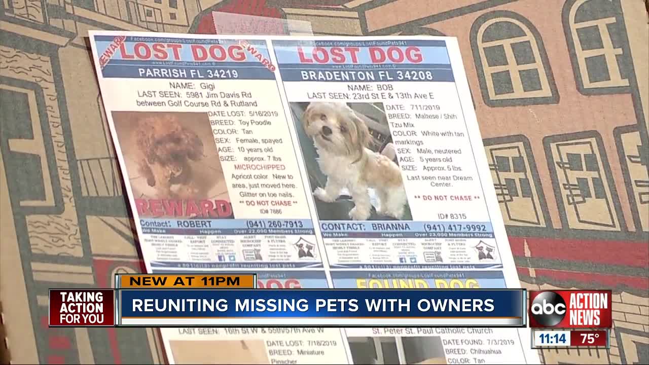 Bradenton pizza shop helps pet owners find lost animals by posting flyers on boxes