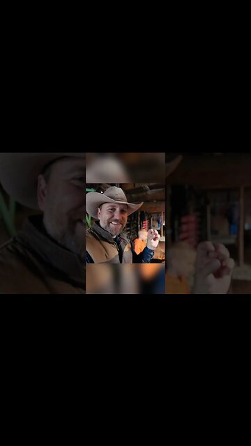 Rocky Mountain Oysters Tastes Like...