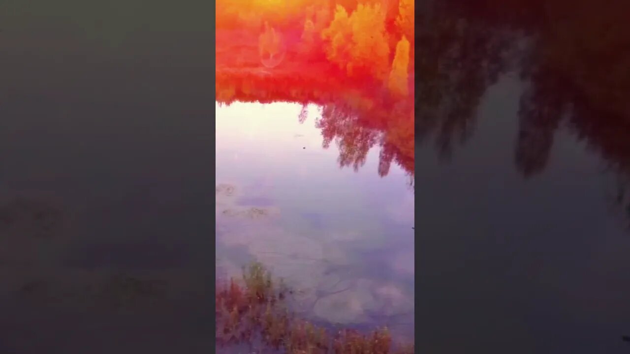 The Golden hour 🌅 is the best time of day to film as lightning is perfect. #dji #dronevideo