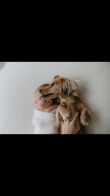 Puppy and baby besties love playing together ❤️