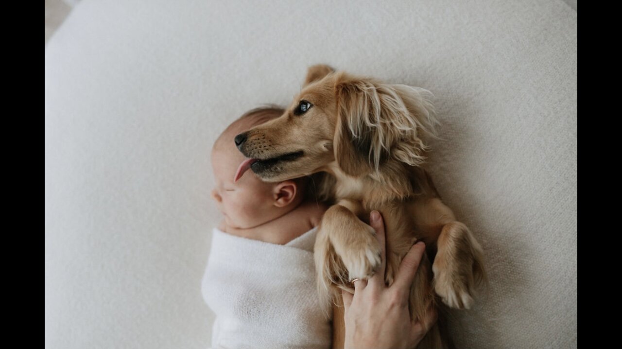 Puppy and baby besties love playing together ❤️