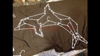 Hanger Dolphin