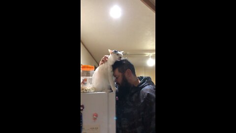 Love cat❤️