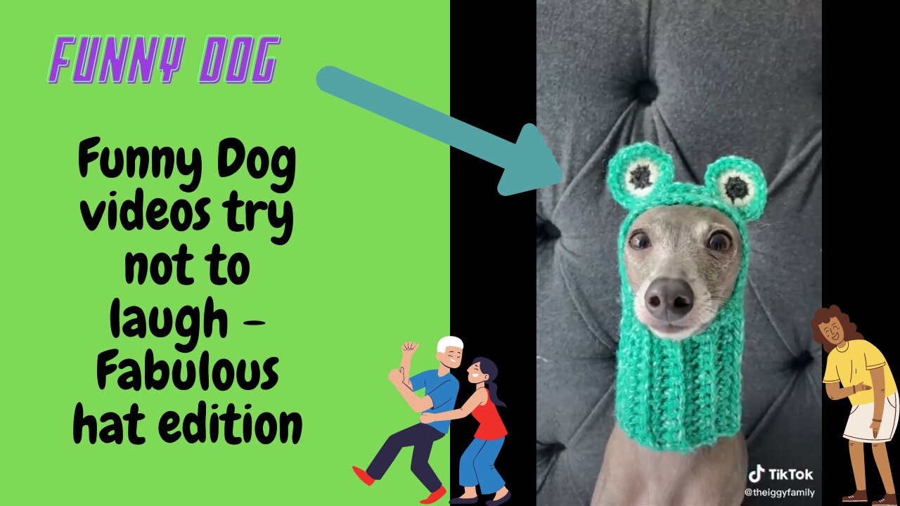 Funny Dog videos try not to laugh - Fabulous hat edition