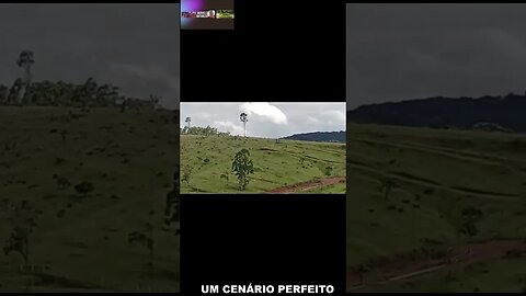 UM CENÁRIO DE CINEMA, AQUI A VIDA PASSA DEVAGAR E SEMPRE #shorts