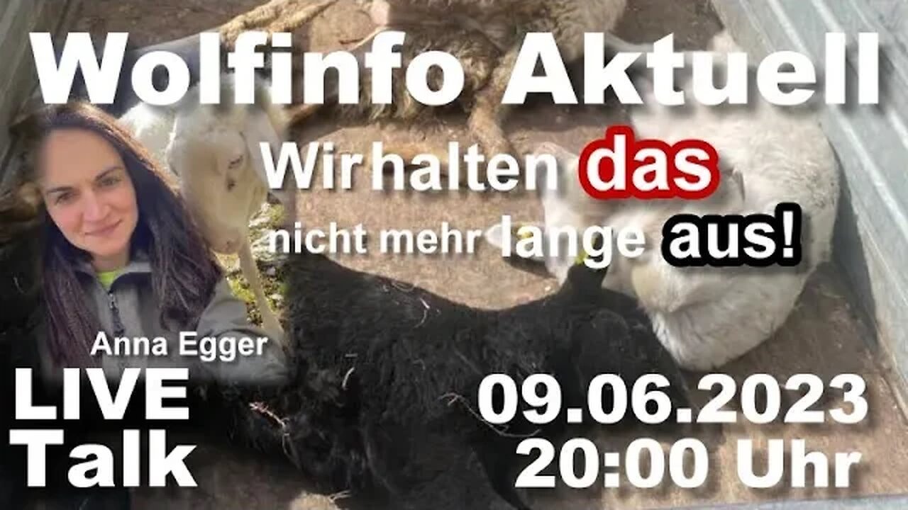 Wolfinfo Aktuell LIVE TALK 35 ( Österreich: Wir halten das nicht mehr lange aus ! )