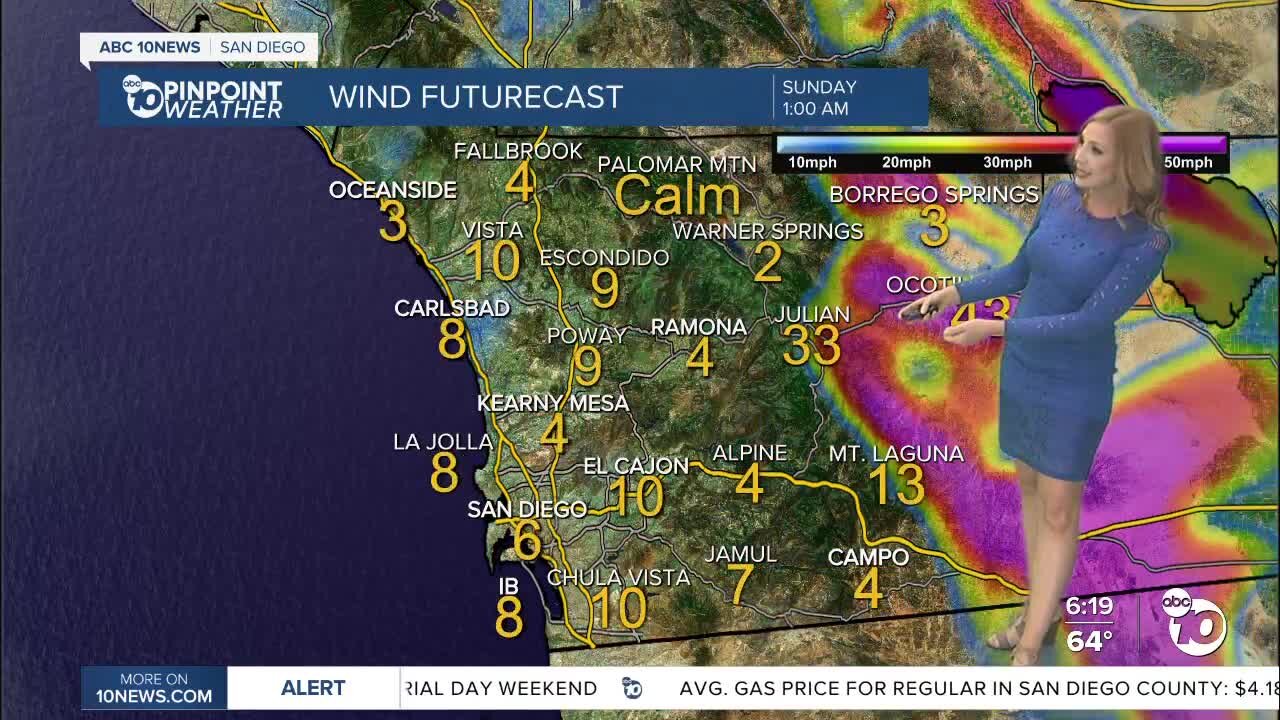 ABC 10News Pinpoint Weather with Meteorologist Leah Pezzetti