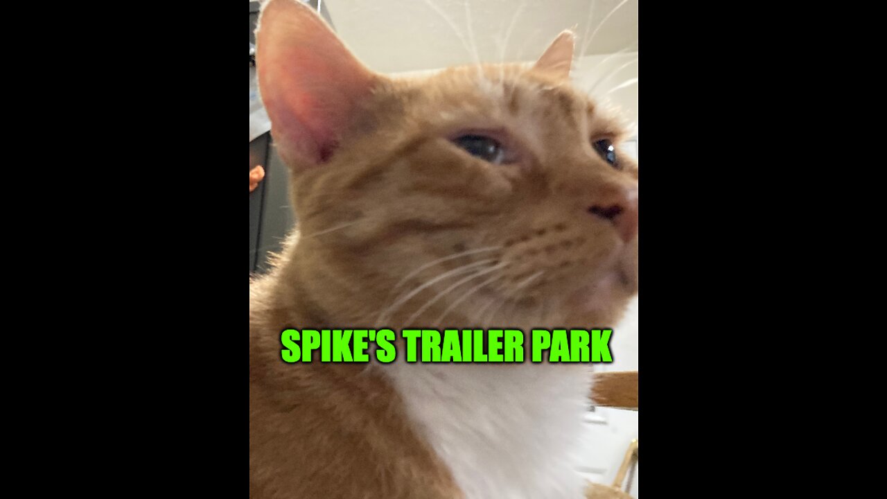 Spike's Trailer Park