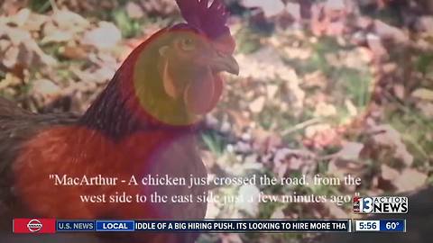 Wisconsin PD responds to chicken call