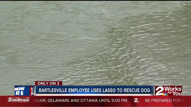 Bartlesville employee saves dog from icy river