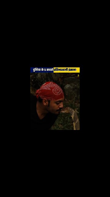 दुनिया के 5 सबसे हिम्मतवाले इंसान, जो मौत से भी नहीं डरते! ( 5 DAREDEVILS MAN IN THE WORLD. #shorts,