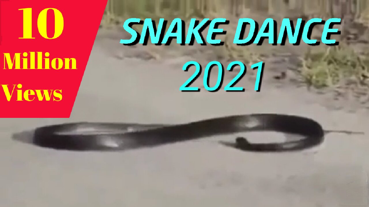 Snake dance