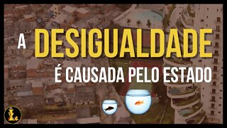 A Verdade sobre a Desigualdade