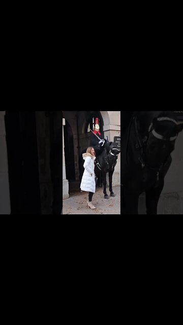 The Horse tries to steal her bag #horseguardsparade