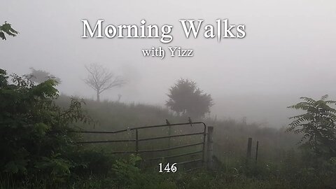 Morning Walks with Yizz 146 - Success!