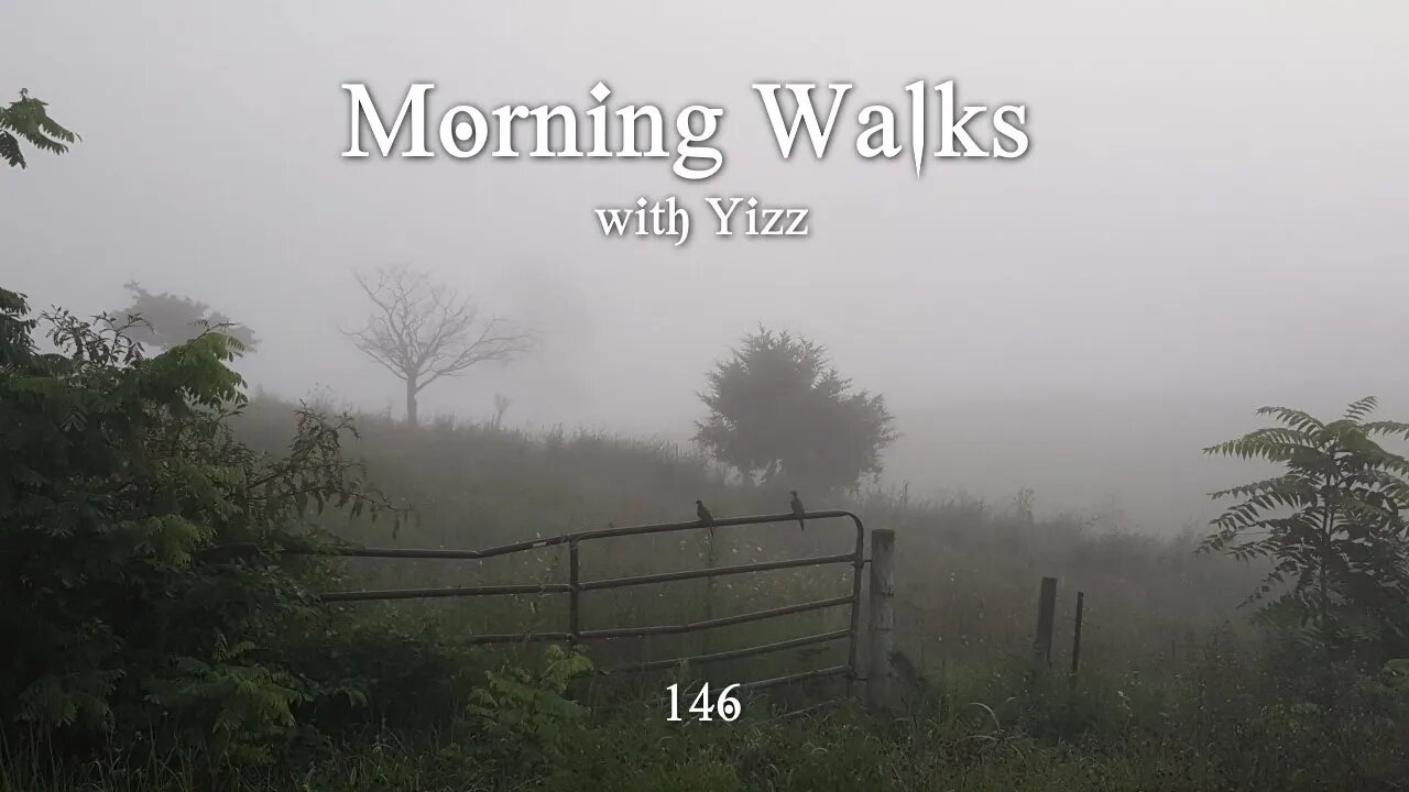 Morning Walks with Yizz 146 - Success!