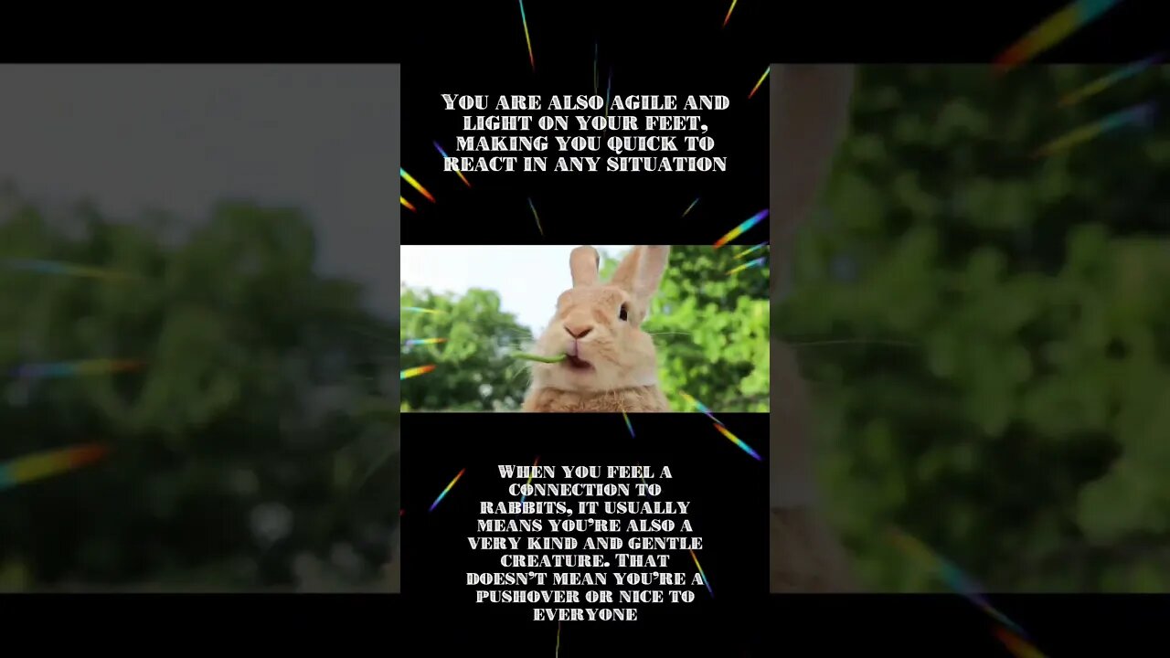 Rabbit Spirit Animal Meaning