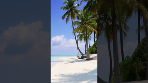 This Tropical Beach is So Beautiful and Calm 😌 - #shorts #short #ocean