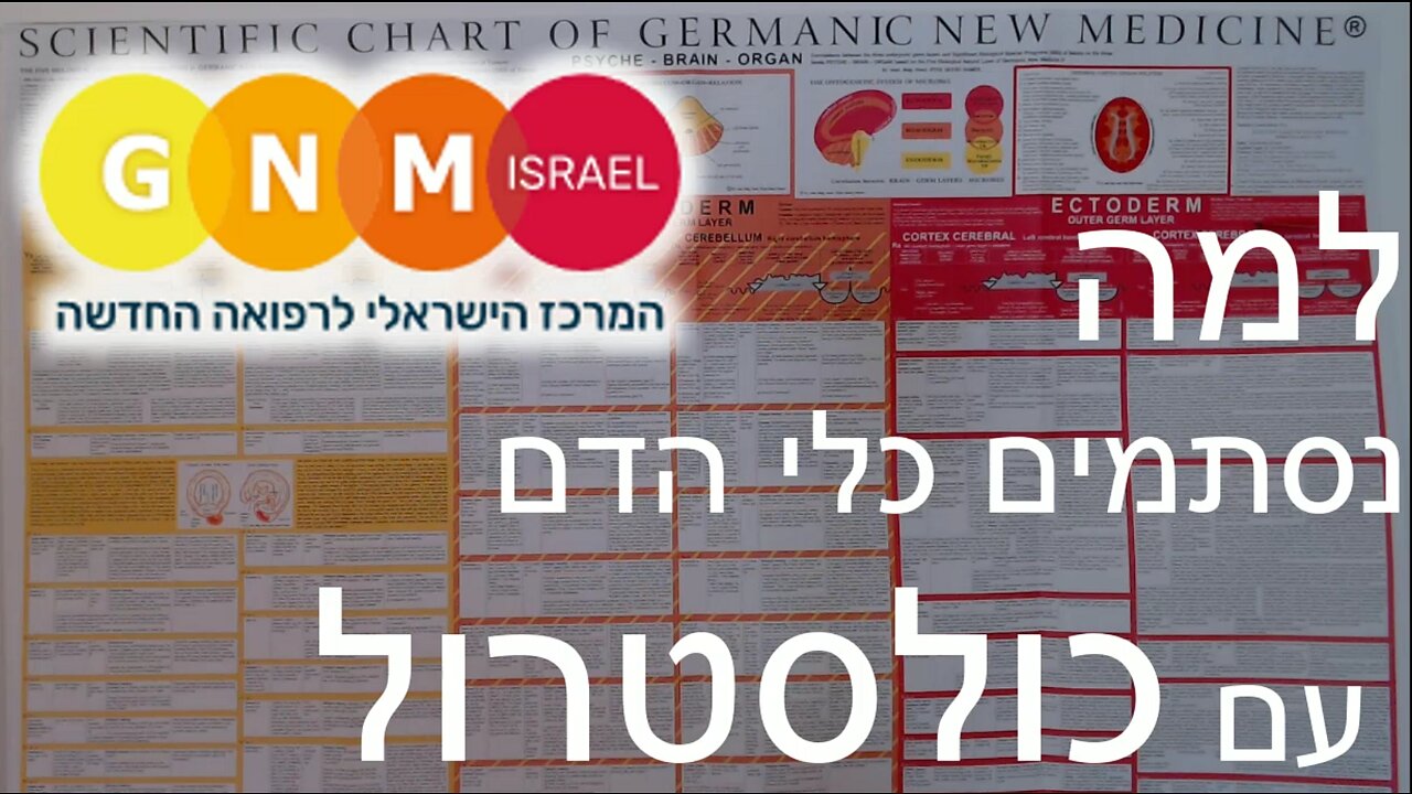 למה (באמת) נסתמים כלי דם עם כולסטרול