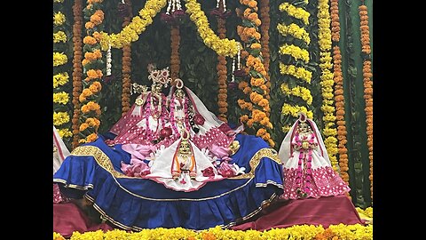 Live Radha Rani Darsan & Arti Ladli Ji Maharaj Barsana