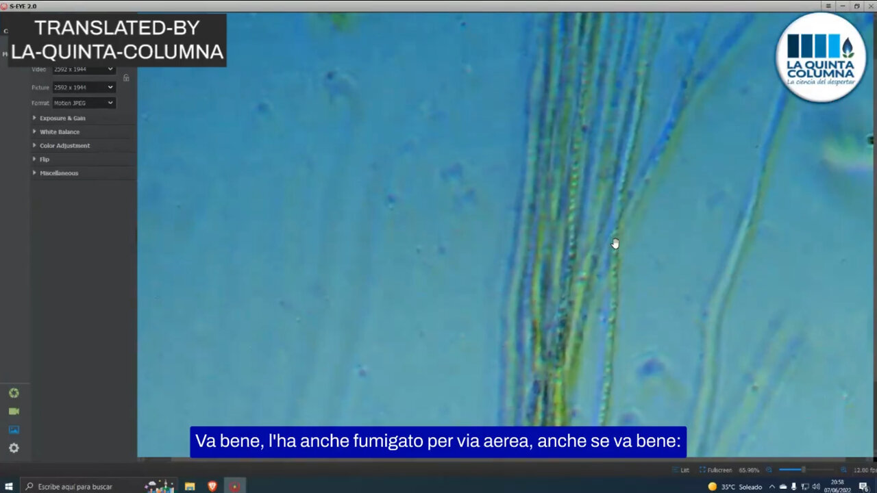 🇮🇹 #Italiano - Analisi al microscopio ottico di una fiala Pfizer. Questo non é un vaccino.