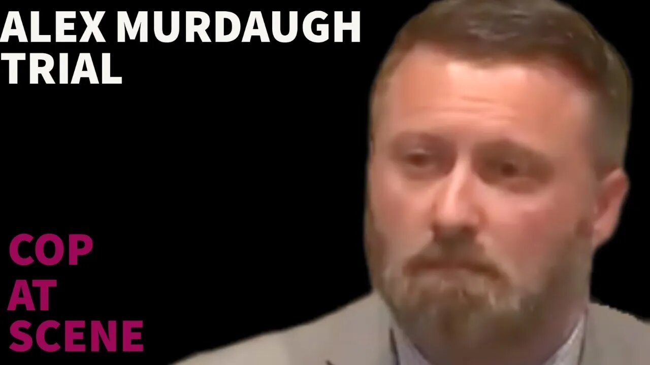 What the Alex Murdaugh investigator said, chilling testimony