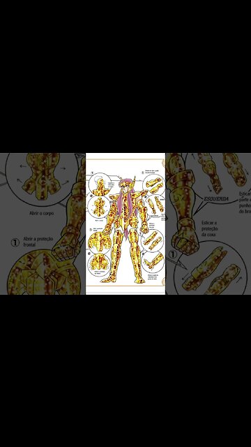 Os Cavaleiros Do Zodíaco - Armadura De Aquário - Camus [Pause o Vídeo Caso Não Consiga Ler]