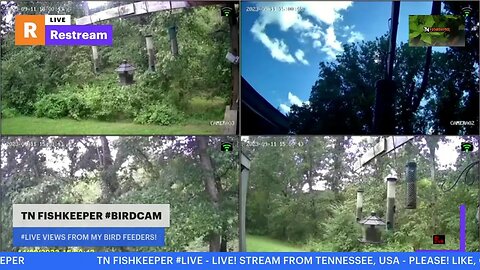 TN FISHKEEPER™ 🐠 #BIRDCAM