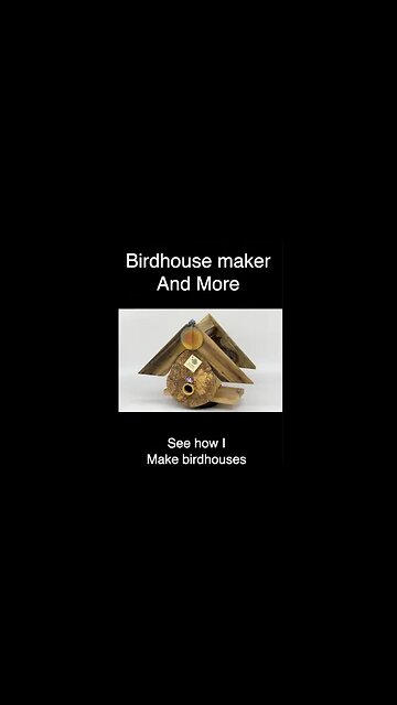 Exotic molding BIrdhouse #Shorts