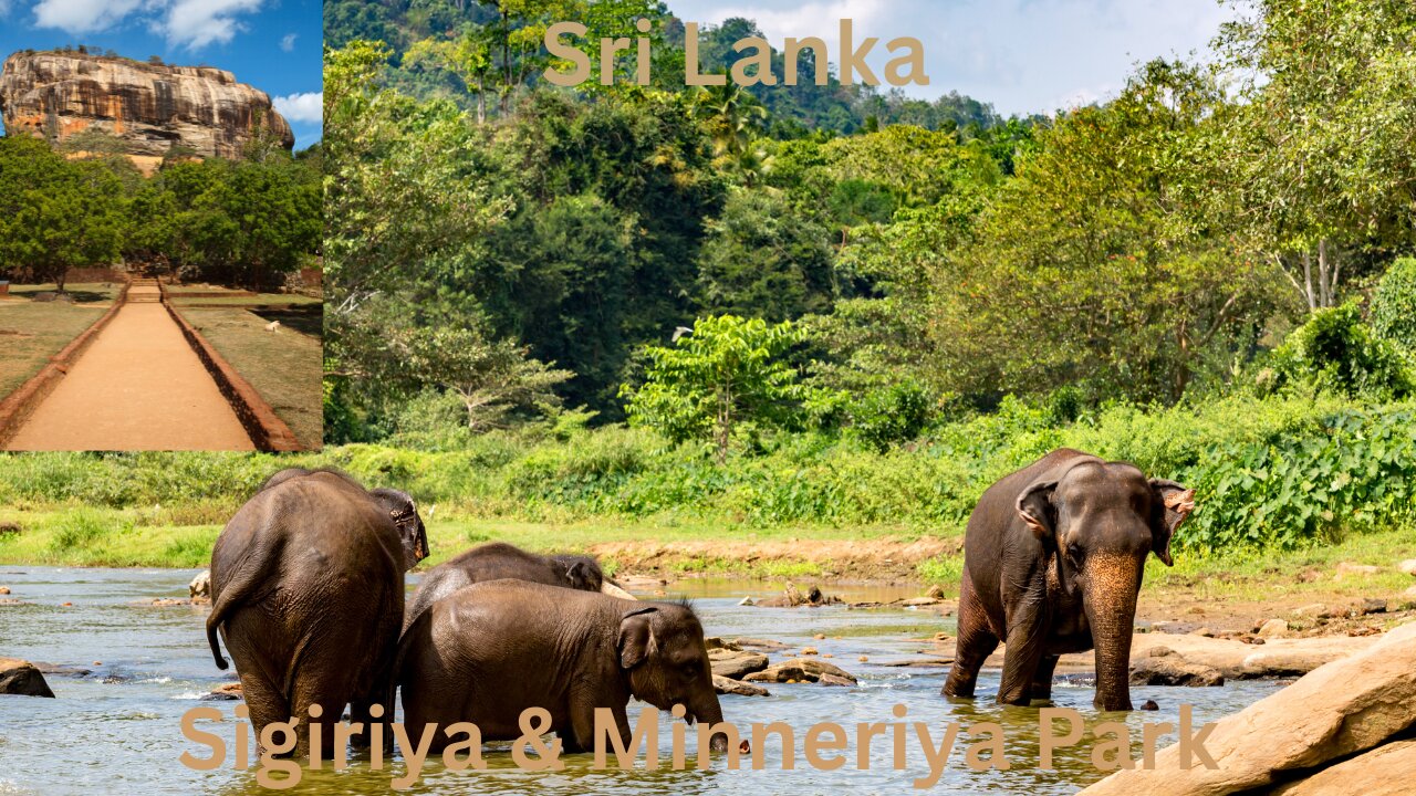 Sigiriya & Minneriya Park - This Is Sri Lanka